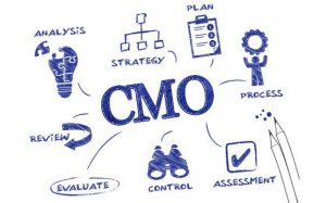 Những kỹ năng cần có để trở thành một CMO là gì?